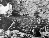Similar image