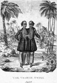 Similar image