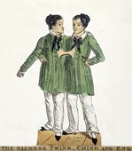 Similar image