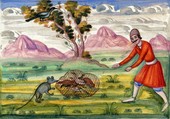 Similar image