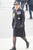 Similar image
