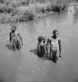 Similar image