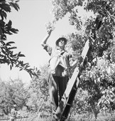 Similar image