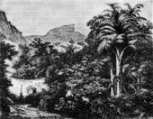 Similar image