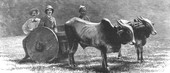 Similar image
