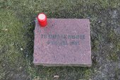 Similar image