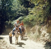 Similar image
