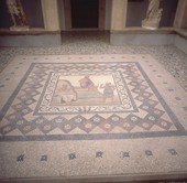 Similar image