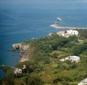 Similar image
