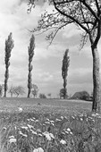 Similar image