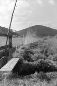 Similar image