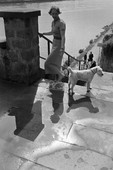 Similar image