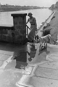 Similar image