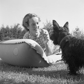 Similar image