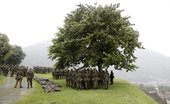 Similar image