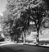 Similar image