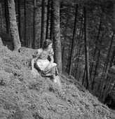 Similar image