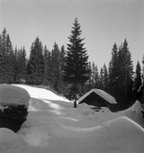 Similar image