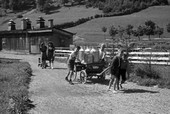 Similar image