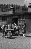 Similar image