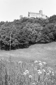 Similar image