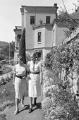 Similar image