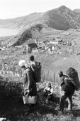Similar image