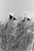 Similar image