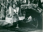 Similar image
