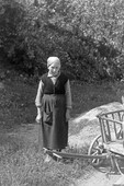 Similar image