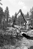 Similar image