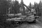 Similar image