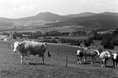 Similar image