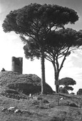 Similar image
