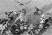 Similar image