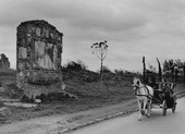 Similar image