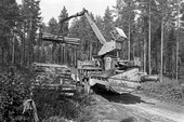 Similar image