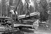 Similar image
