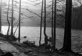 Similar image