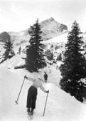 Similar image