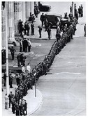 Similar image