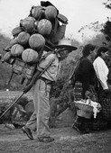 Similar image