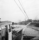 Similar image