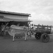 Similar image