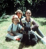 Similar image
