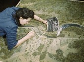 Similar image