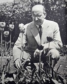 Similar image