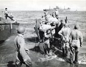 Similar image