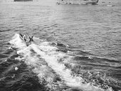 Similar image