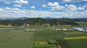 Similar image